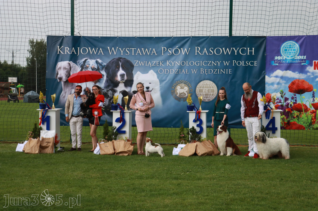 Fotorelacja II: Krajowa Wystawa Psów Rasowych w Gniazdowie Gmina Koziegłowy
