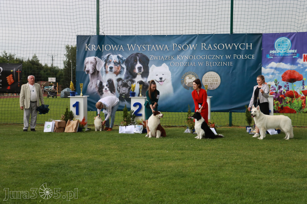 Fotorelacja II: Krajowa Wystawa Psów Rasowych w Gniazdowie Gmina Koziegłowy