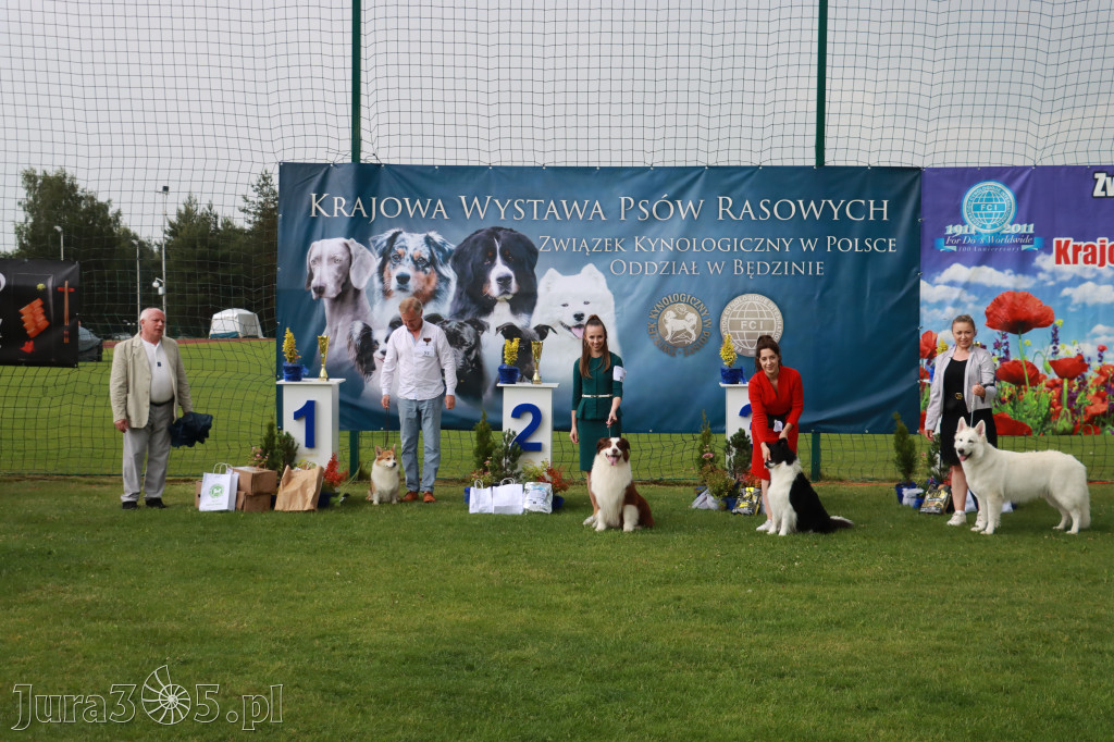 Fotorelacja II: Krajowa Wystawa Psów Rasowych w Gniazdowie Gmina Koziegłowy