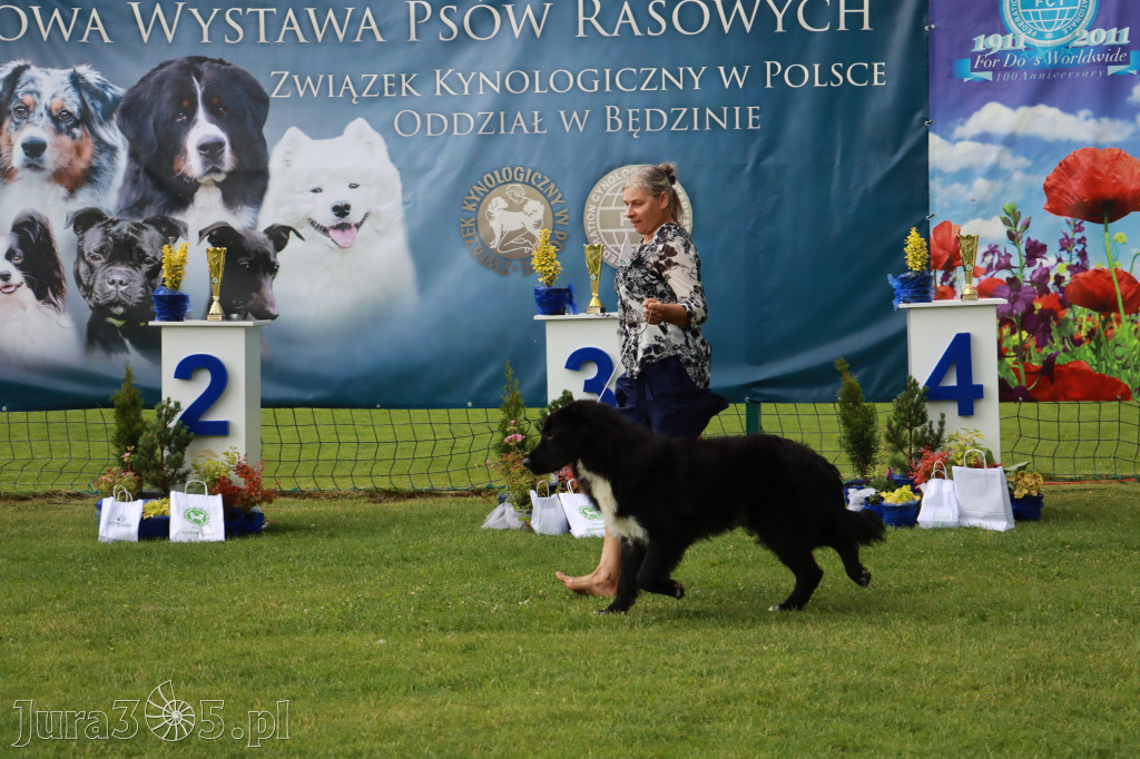 Fotorelacja II: Krajowa Wystawa Psów Rasowych w Gniazdowie Gmina Koziegłowy
