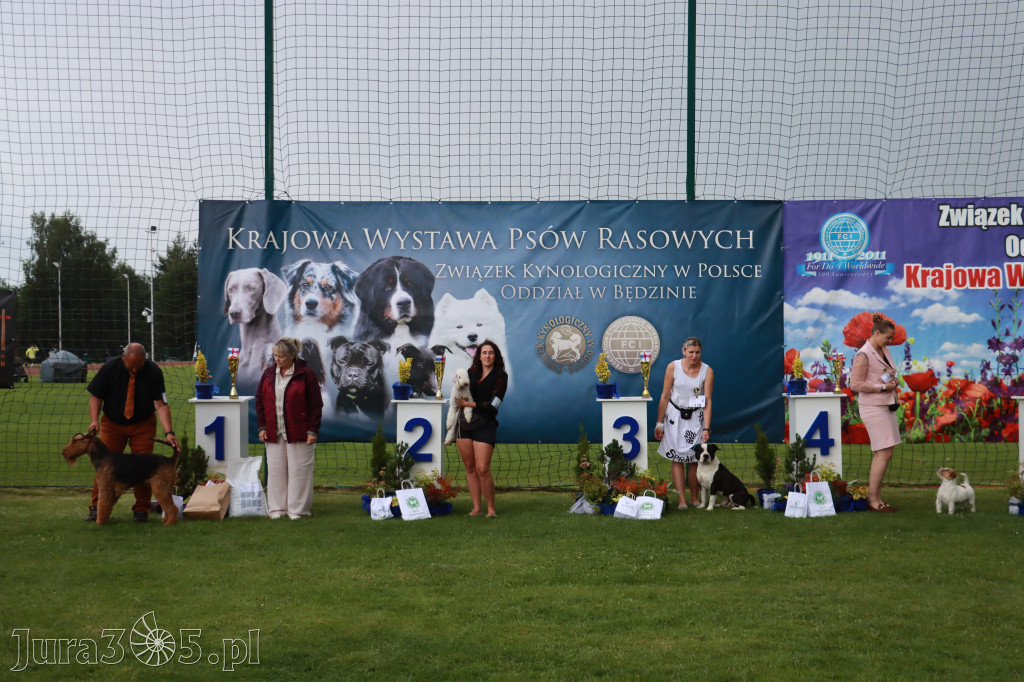 Fotorelacja II: Krajowa Wystawa Psów Rasowych w Gniazdowie Gmina Koziegłowy