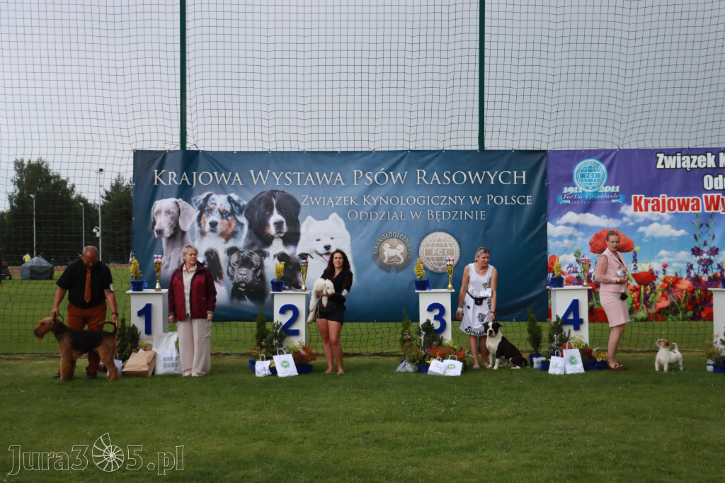 Fotorelacja II: Krajowa Wystawa Psów Rasowych w Gniazdowie Gmina Koziegłowy