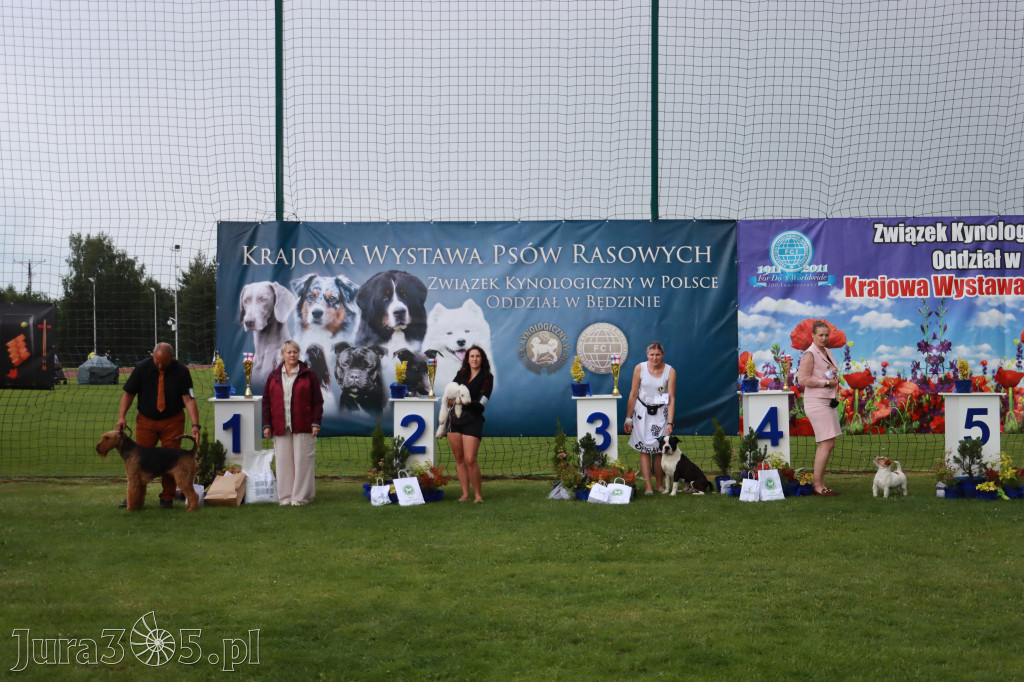 Fotorelacja II: Krajowa Wystawa Psów Rasowych w Gniazdowie Gmina Koziegłowy