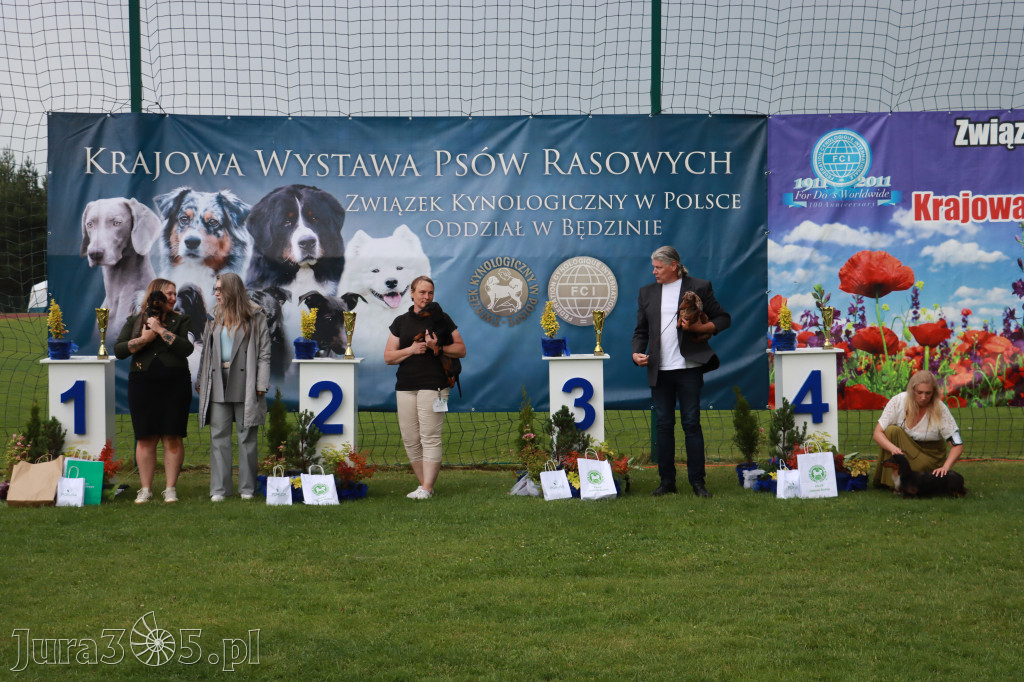 Fotorelacja II: Krajowa Wystawa Psów Rasowych w Gniazdowie Gmina Koziegłowy