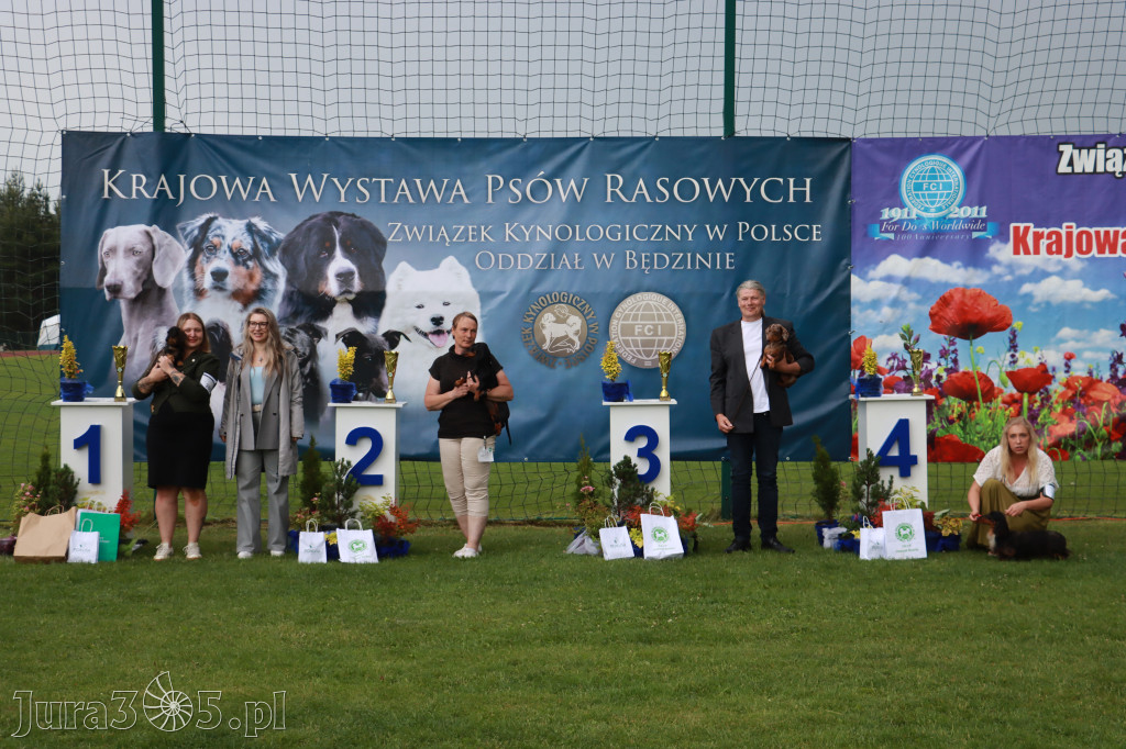 Fotorelacja II: Krajowa Wystawa Psów Rasowych w Gniazdowie Gmina Koziegłowy