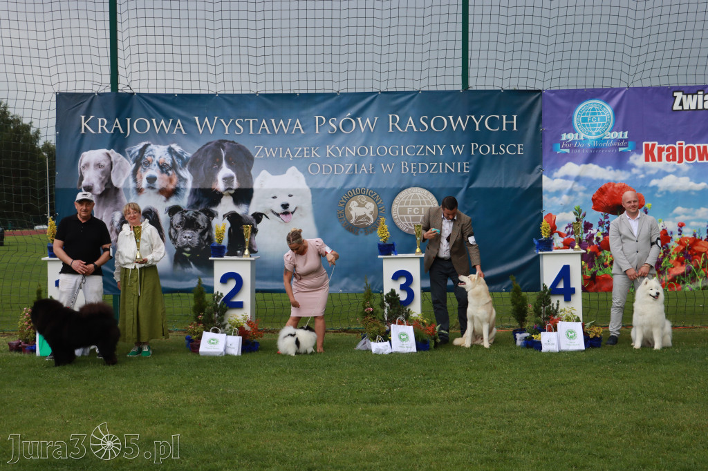 Fotorelacja II: Krajowa Wystawa Psów Rasowych w Gniazdowie Gmina Koziegłowy