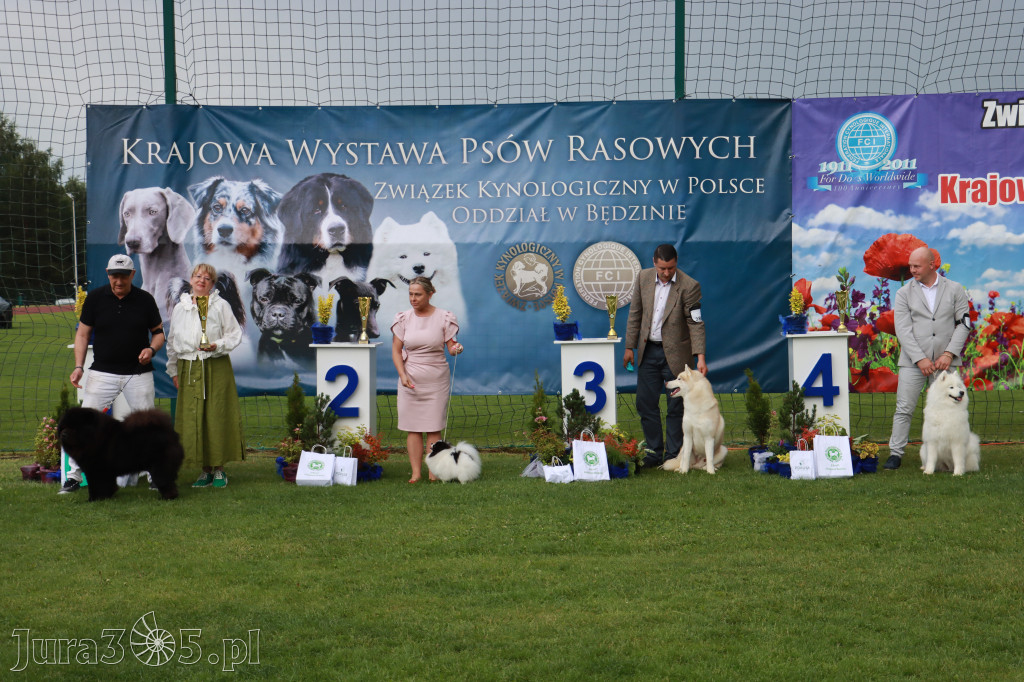 Fotorelacja II: Krajowa Wystawa Psów Rasowych w Gniazdowie Gmina Koziegłowy