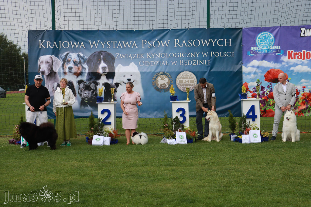 Fotorelacja II: Krajowa Wystawa Psów Rasowych w Gniazdowie Gmina Koziegłowy
