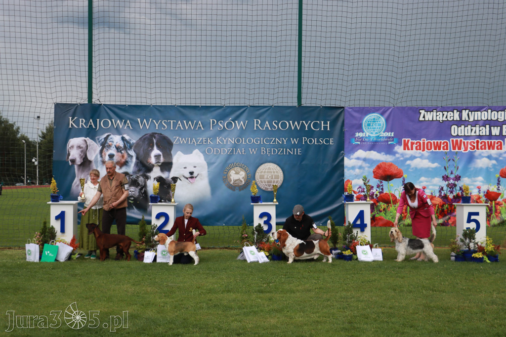 Fotorelacja II: Krajowa Wystawa Psów Rasowych w Gniazdowie Gmina Koziegłowy