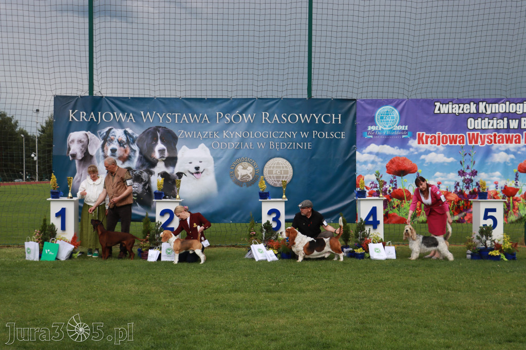 Fotorelacja II: Krajowa Wystawa Psów Rasowych w Gniazdowie Gmina Koziegłowy