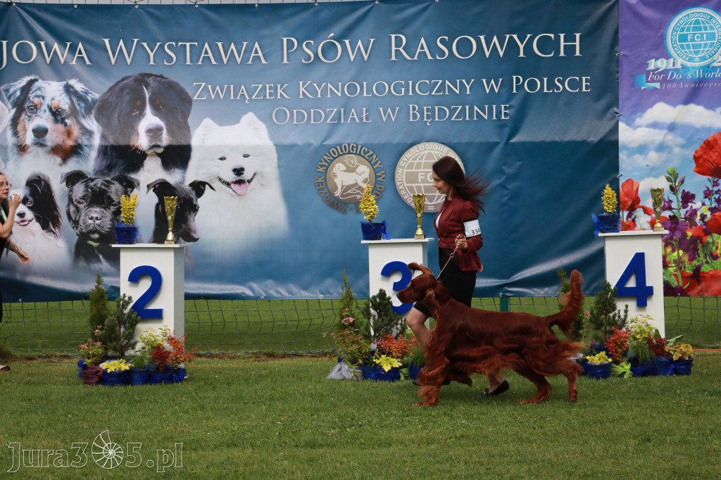 Fotorelacja II: Krajowa Wystawa Psów Rasowych w Gniazdowie Gmina Koziegłowy