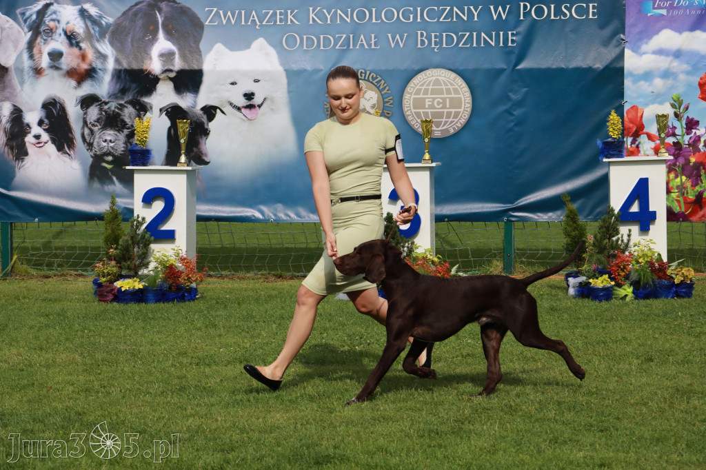 Fotorelacja II: Krajowa Wystawa Psów Rasowych w Gniazdowie Gmina Koziegłowy
