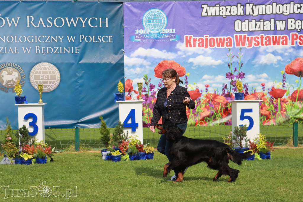 Fotorelacja II: Krajowa Wystawa Psów Rasowych w Gniazdowie Gmina Koziegłowy