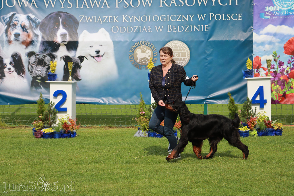 Fotorelacja II: Krajowa Wystawa Psów Rasowych w Gniazdowie Gmina Koziegłowy