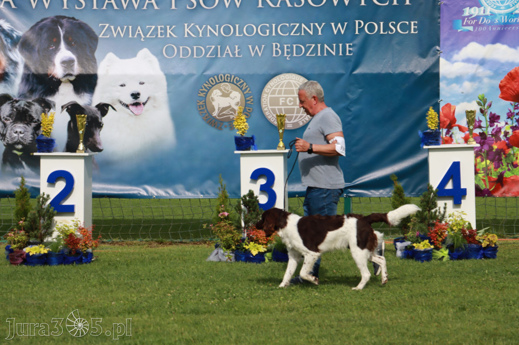 Fotorelacja II: Krajowa Wystawa Psów Rasowych w Gniazdowie Gmina Koziegłowy