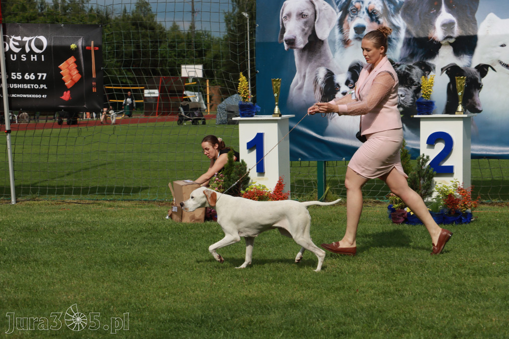 Fotorelacja II: Krajowa Wystawa Psów Rasowych w Gniazdowie Gmina Koziegłowy