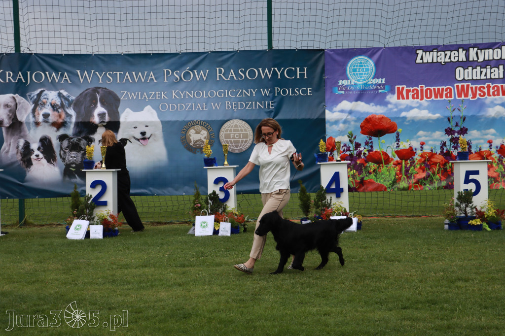 Fotorelacja II: Krajowa Wystawa Psów Rasowych w Gniazdowie Gmina Koziegłowy