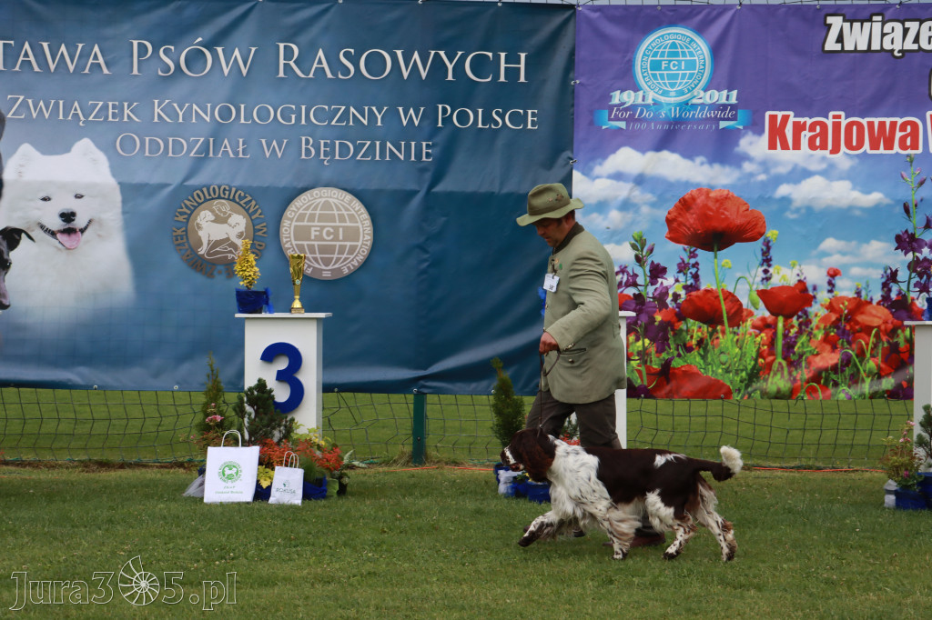 Fotorelacja II: Krajowa Wystawa Psów Rasowych w Gniazdowie Gmina Koziegłowy