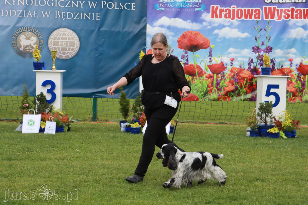 Fotorelacja II: Krajowa Wystawa Psów Rasowych w Gniazdowie Gmina Koziegłowy
