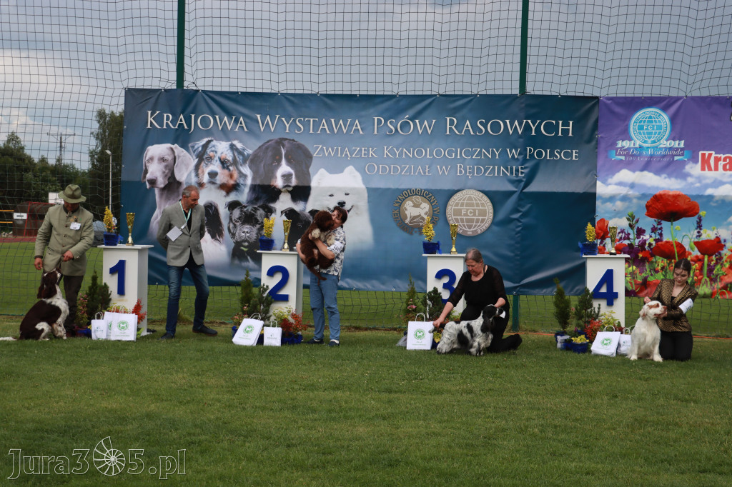 Fotorelacja II: Krajowa Wystawa Psów Rasowych w Gniazdowie Gmina Koziegłowy