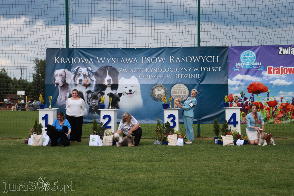 Fotorelacja II: Krajowa Wystawa Psów Rasowych w Gniazdowie Gmina Koziegłowy