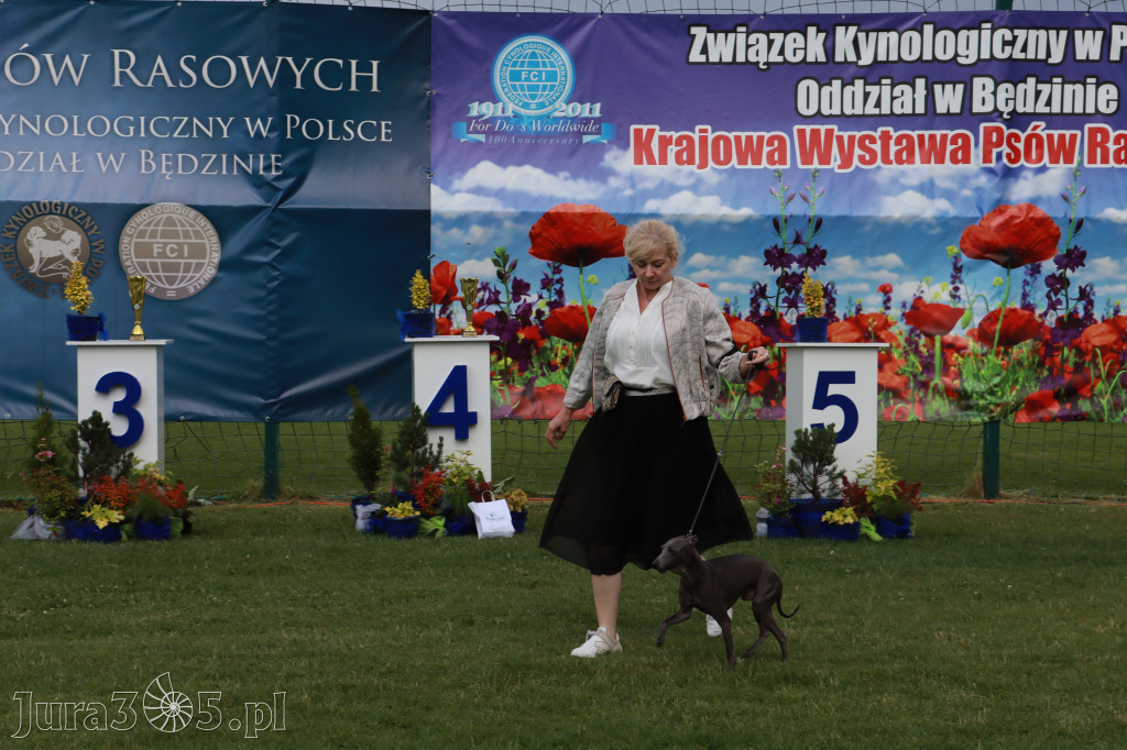 Fotorelacja II: Krajowa Wystawa Psów Rasowych w Gniazdowie Gmina Koziegłowy