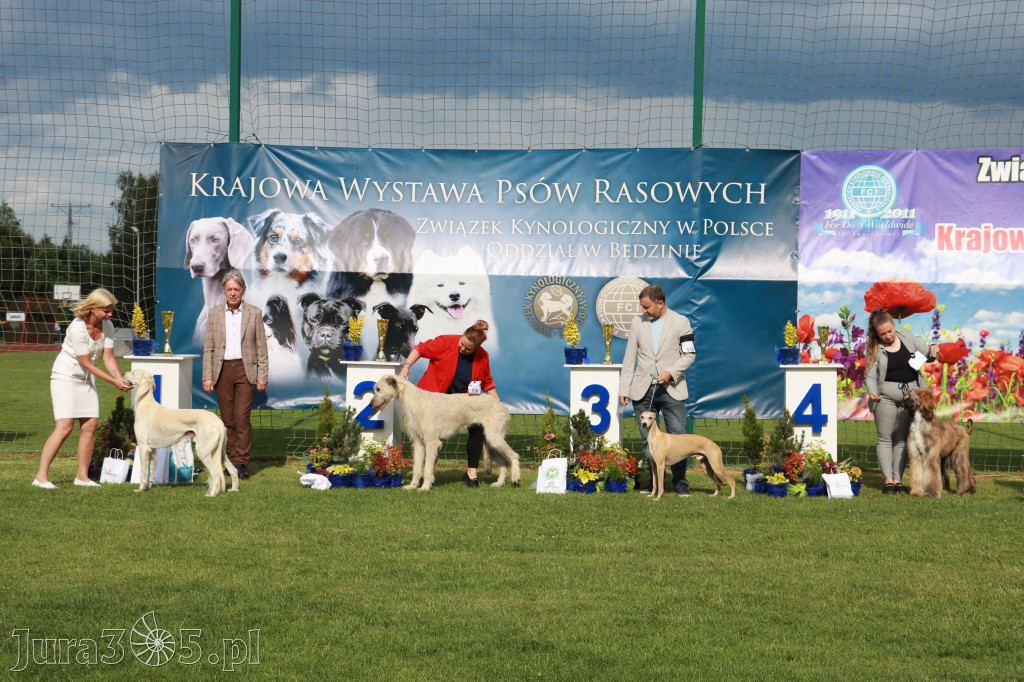 Fotorelacja II: Krajowa Wystawa Psów Rasowych w Gniazdowie Gmina Koziegłowy