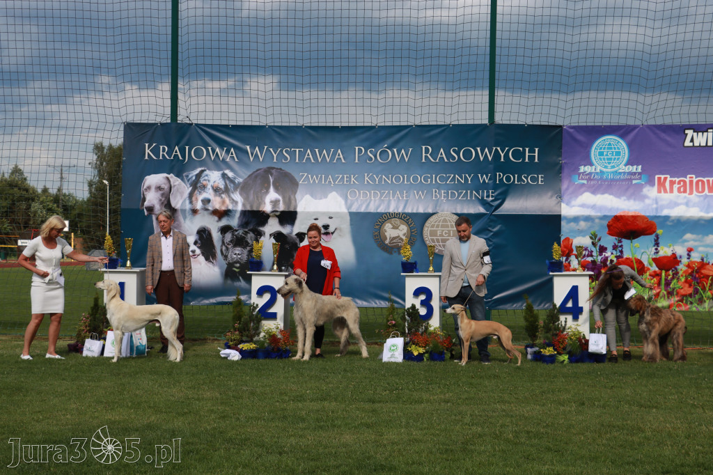 Fotorelacja II: Krajowa Wystawa Psów Rasowych w Gniazdowie Gmina Koziegłowy