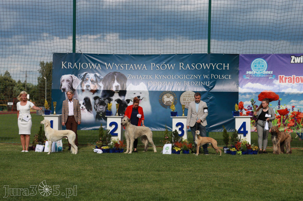 Fotorelacja II: Krajowa Wystawa Psów Rasowych w Gniazdowie Gmina Koziegłowy