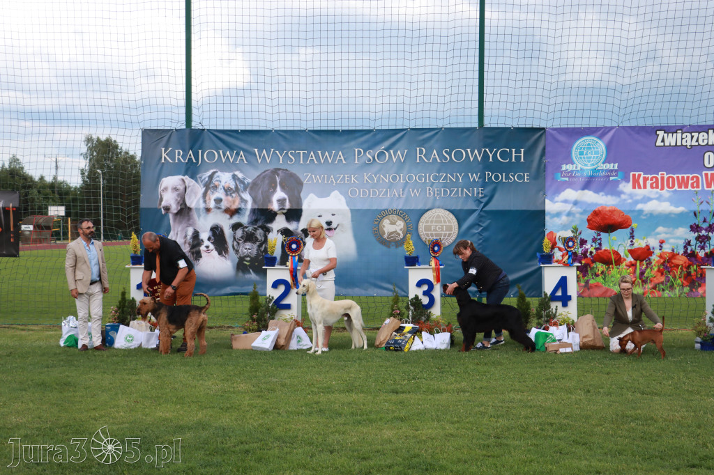 Fotorelacja II: Krajowa Wystawa Psów Rasowych w Gniazdowie Gmina Koziegłowy