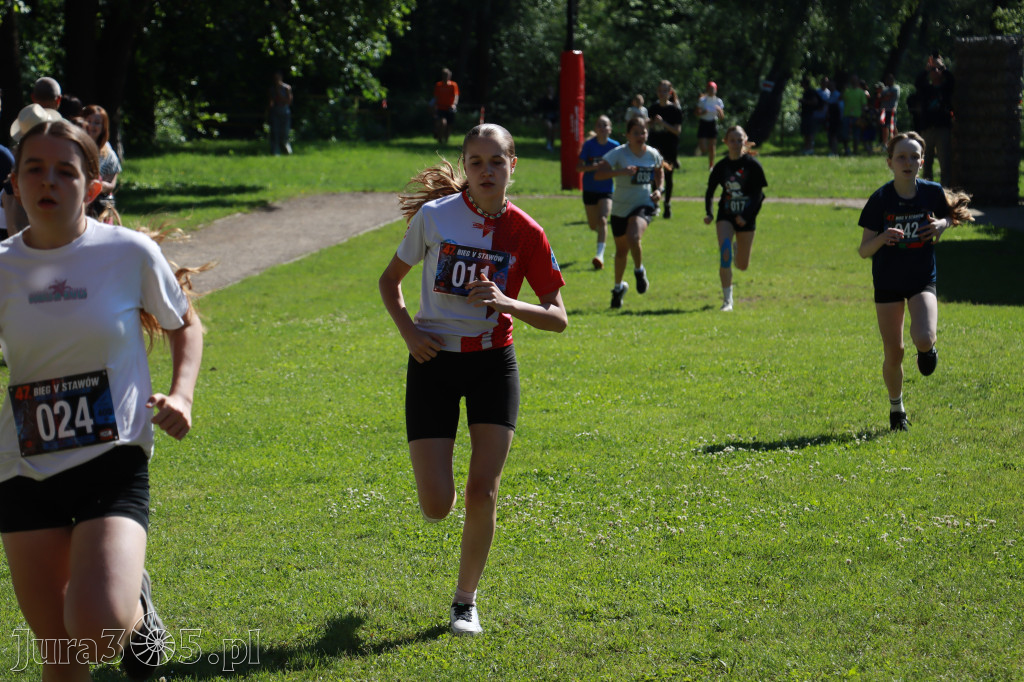 Fotorelacja I: 47. Międzynarodowy Bieg V Stawów w Myszkowie