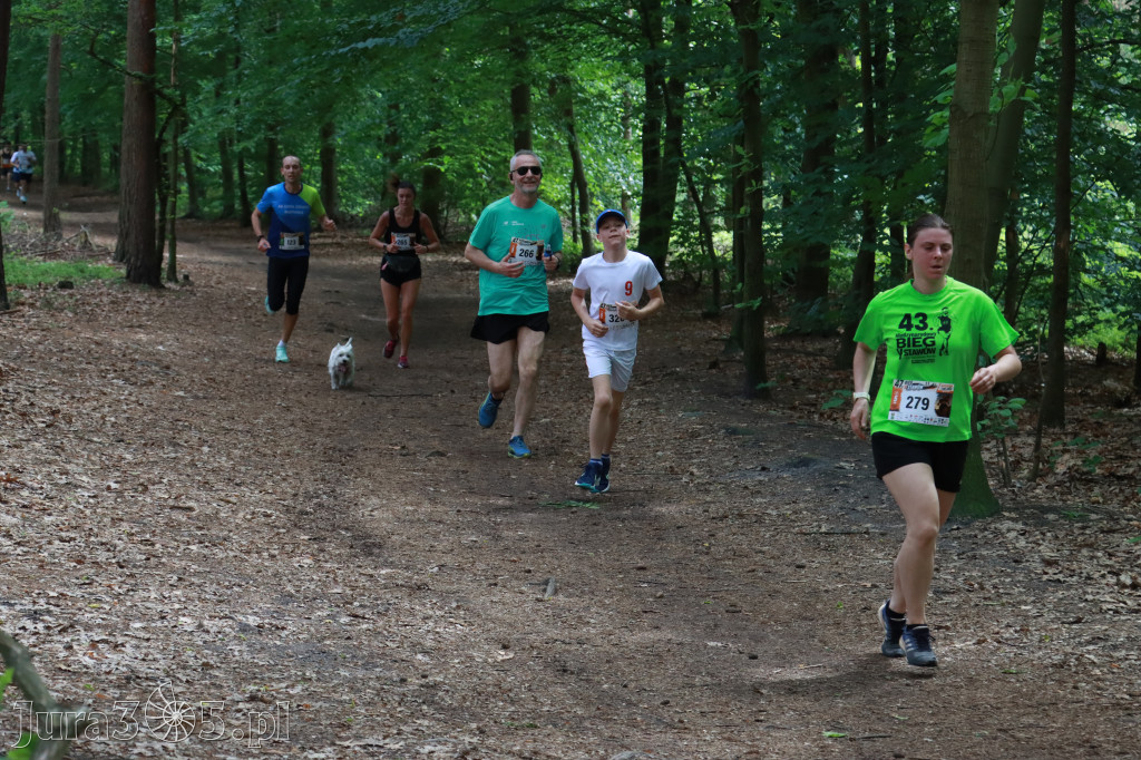 Fotorelacja II: 47. Międzynarodowy Bieg V Stawów w Myszkowie