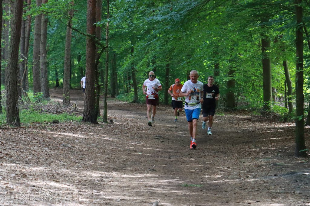 Fotorelacja III: 47. Międzynarodowy Bieg V Stawów w Myszkowie