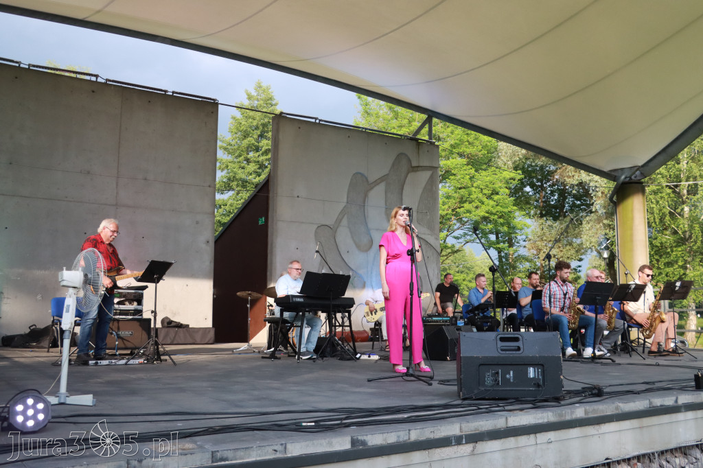 Fotorelacja: Muzyczne Wianki – Myszkowska Noc Świętojańska