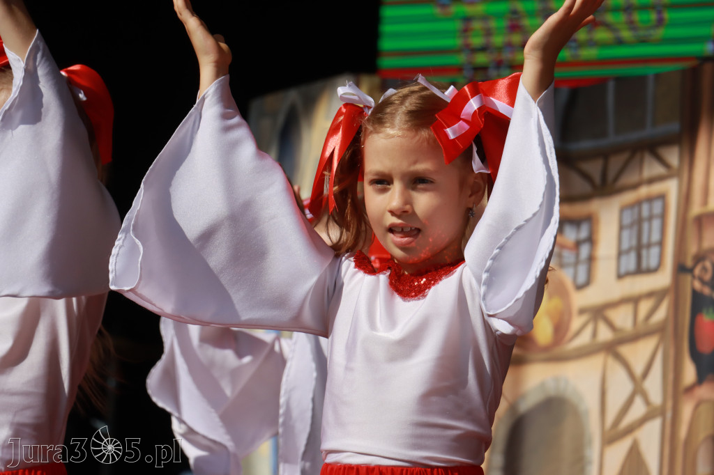 Fotorelacja I: Dni Myszkowa 2026 (sobota)