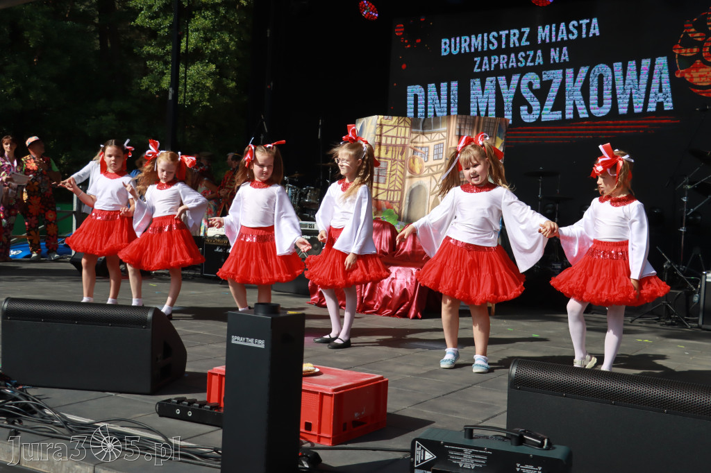 Fotorelacja I: Dni Myszkowa 2026 (sobota)