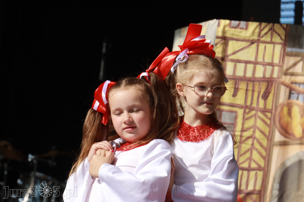 Fotorelacja I: Dni Myszkowa 2026 (sobota)