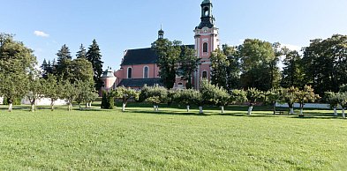 Odkrycie archeologów: klasztor w Paradyżu wyglądał inaczej