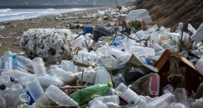 Ekspertka: szukanie nowych surowców, które mogłyby zastąpić plastik, to ogromne wy-9531