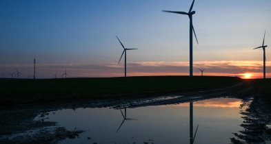 Ekspertka: w Polsce potrzebne regulacje dot. norm i zasad hałasu turbin wiatrowych-25308