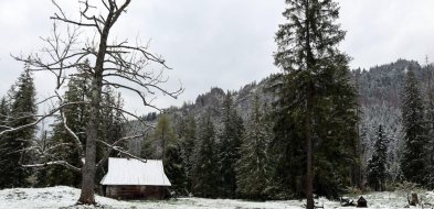W Tatrach przybywa śniegu; lawinowa dwójka-25629
