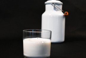 Naukowcy szukają chętnych, którzy razem z nimi opracują recepturę na produkt mlecz-26061
