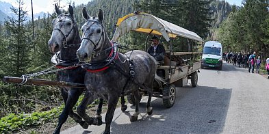 Kolejki do wozów konnych nad Morskie Oko. &quot;Elektry-48849