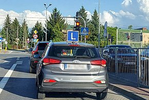 Egzamin na prawo jazdy będzie inny. Od 1 lipca nowe zasady-52187