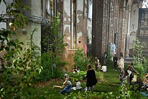 Gdańsk: wnętrze gotyckiego zabytku wypełniło się drzewami - nowa instalacja artyst-52438