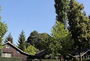 Młodzi warszawiacy stworzyli mapę nieoczywistych miejsc dla odwiedzających stolicę-52974
